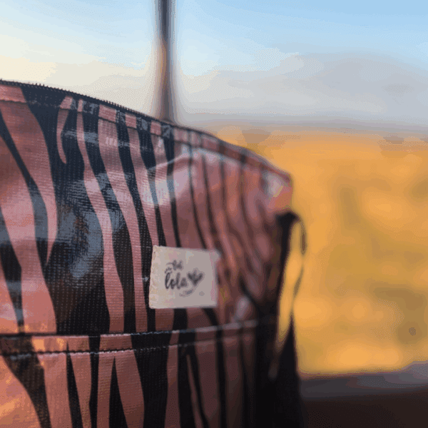 Wild Collection - Image 6