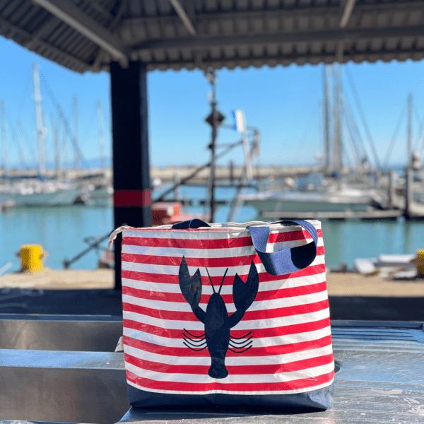 Lobster Coolers - Image 8