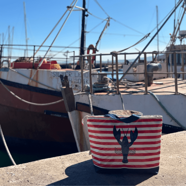 Lobster Coolers - Image 10